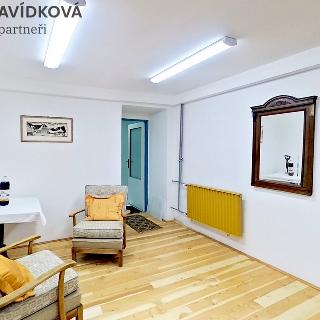 Prodej vily 675 m² Hořice, Pelikánova