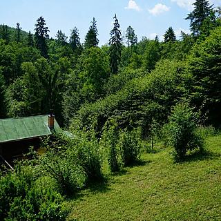 Prodej chalupy 48 m&sup2; Hvozdnice