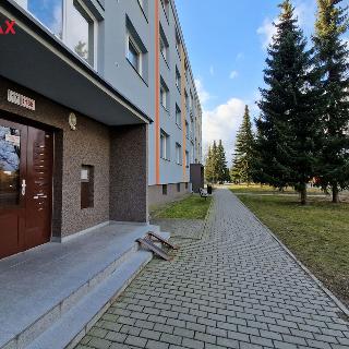 Pronájem bytu 2+1 52 m² Mohelnice, Pionýrů