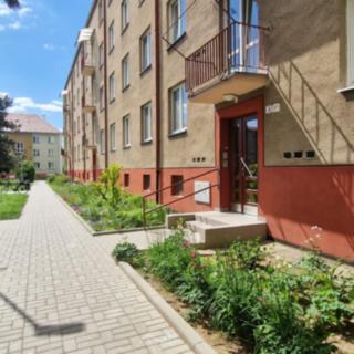 Pronájem bytu 2+1 47 m² Mohelnice, Staškova