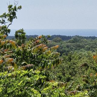 Prodej stavební parcely 5 000 m² v Chorvatsku