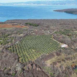 Prodej stavební parcely 24 400 m² v Chorvatsku