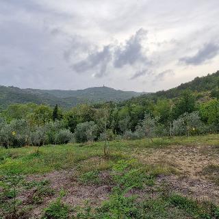 Prodej stavební parcely 9 054 m² v Chorvatsku