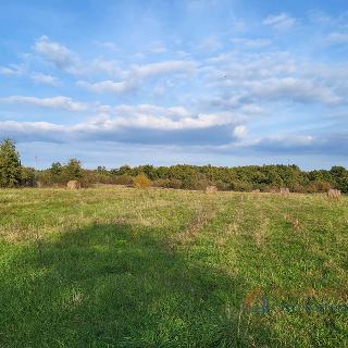 Prodej stavební parcely 26 000 m² v Chorvatsku