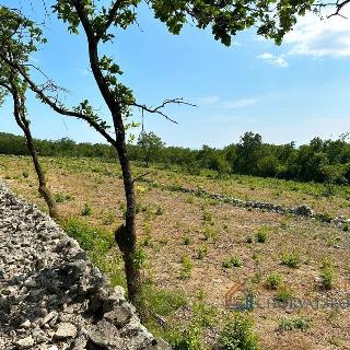 Prodej stavební parcely 8 600 m² v Chorvatsku