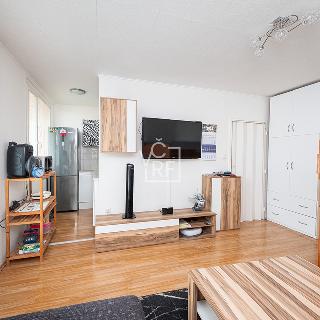 Pronájem bytu 1+kk a garsoniéry 27 m² Pardubice, Družby