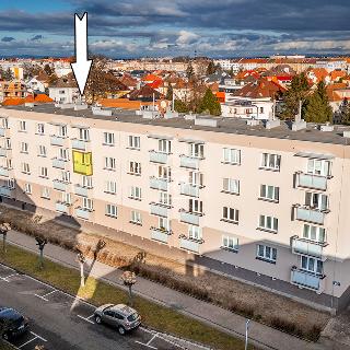 Prodej bytu 3+kk 73 m² Hradec Králové, Horova