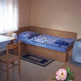 Pronájem pokoje 20 m&sup2; Hradec Králové