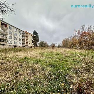 Prodej stavební parcely 5 559 m² Dalovice, 