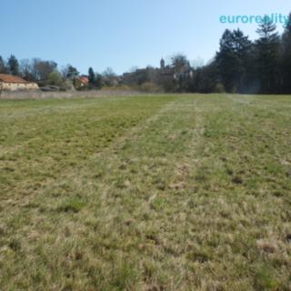 Prodej stavební parcely 7803 m² Vojkov