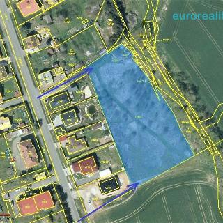 Prodej stavební parcely 5 800 m² Planá, 