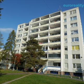 Prodej bytu 1+kk a garsoniéry 37 m² Praha, Bachova