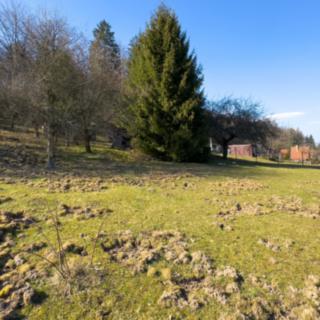 Prodej stavební parcely 2215 m&sup2; Rudoltice