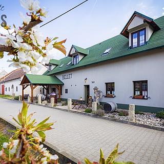 Prodej hotelu, penzionu 333 m&sup2; Březí