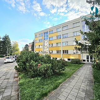 Pronájem bytu 1+kk, garsoniery 35 m&sup2; Nové Město nad Metují