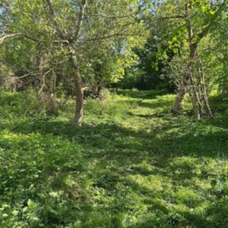 Prodej stavební parcely 1644 m² Senohraby