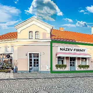 Pronájem obchodu 120 m² Dobřany, Lidická