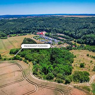 Prodej zemědělské půdy 1495 m² Statenice
