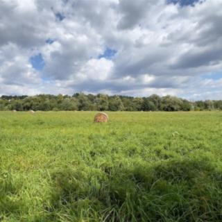 Prodej ostatních pozemků 3892 m&sup2; Ostrava