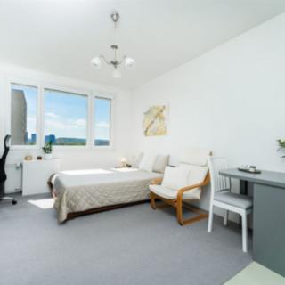 Pronájem bytu 1+kk a garsoniéry 24 m² Praha Braník, Vavřenova