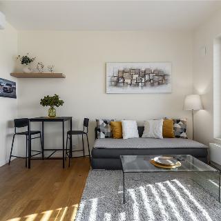 Prodej bytu 2+kk 38 m² Praha, U Lesoparku