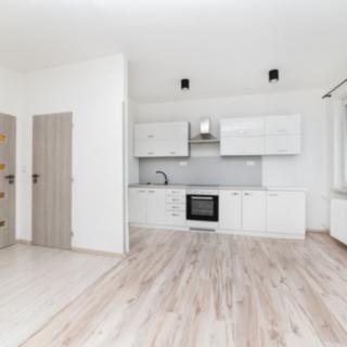 Pronájem bytu 1+kk a garsoniéry 30 m² Třinec, Slezská