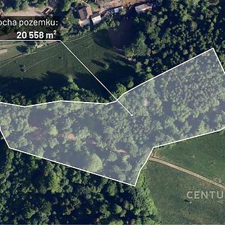 Prodej lesa 20558 m&sup2; Nýdek