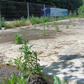 Prodej komerčního pozemku 900 m&sup2; Gruna