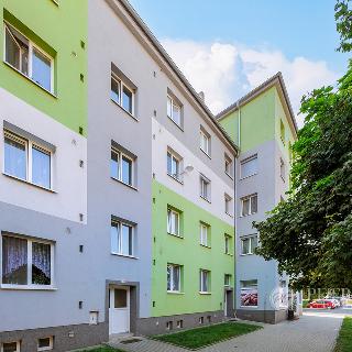 Prodej bytu 3+1 69 m² Lovosice, Terezínská