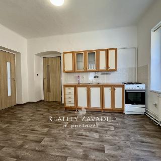 Prodej bytu 2+1 65 m² Česká Ves, Jánského