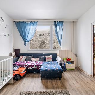 Prodej bytu 1+1 34 m² Děčín, Gagarinova