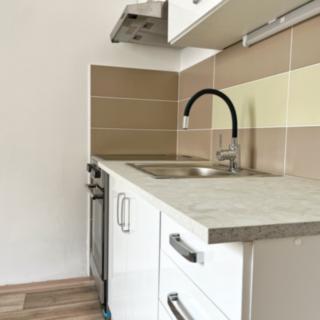 Pronájem bytu 1+kk a garsoniéry 44 m² Dolní Poustevna, Vilémovská