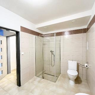 Pronájem bytu 1+1 62 m² Velký Šenov, Mikulášovická