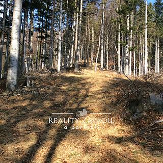 Prodej lesa 27814 m² Morávka