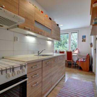 Prodej bytu 3+1 63 m² Rokytnice nad Jizerou Horní Rokytnice
