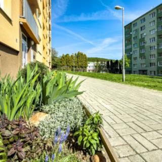 Pronájem bytu 1+kk a garsoniéry 19 m² Jirkov, Studentská