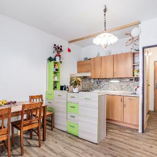 Prodej bytu 1+1 34 m² Děčín, Gagarinova