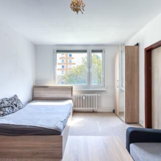 Prodej bytu 1+1 36 m² Ústí nad Labem, Peškova