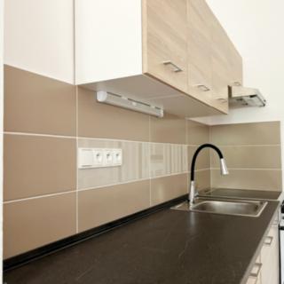 Pronájem bytu 1+kk a garsoniéry 37 m² Dolní Poustevna, Vilémovská