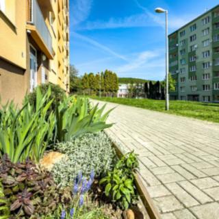 Pronájem bytu 1+kk a garsoniéry 19 m² Jirkov, Studentská