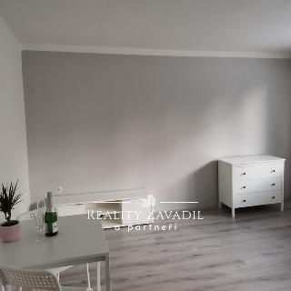 Pronájem bytu 1+kk a garsoniéry 30 m² Pardubice, Kosmonautů