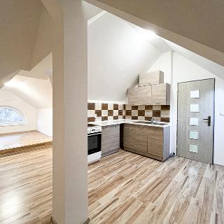 Pronájem bytu 1+1 57 m² Velký Šenov, Mikulášovická