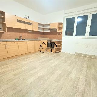 Pronájem bytu 3+1 120 m² Sokolov, Vítězná