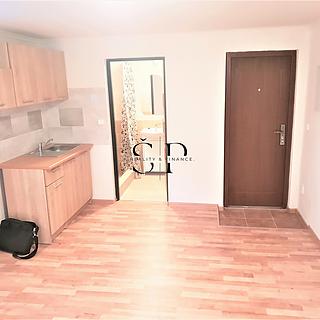 Pronájem bytu 1+kk, garsoniery 40 m&sup2; Dražeň