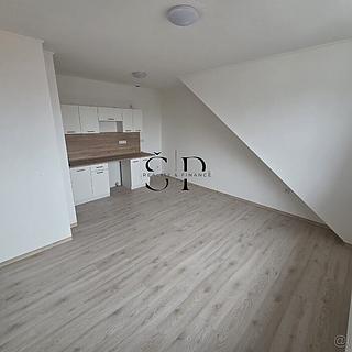 Pronájem bytu 1+1 41 m&sup2; Černovice