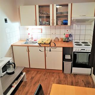 Pronájem bytu 1+1 47 m&sup2; Chotěšov