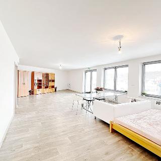 Prodej bytu 1+kk a garsoniéry 66 m² Neslovice, Lesní