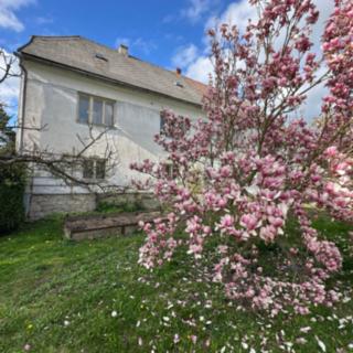 Prodej rodinného domu 167 m² Vítějeves