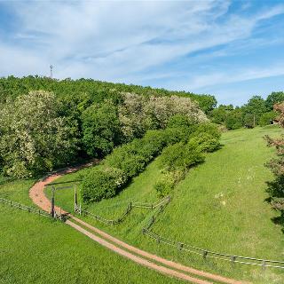 Prodej zemědělské usedlosti 176 m² Mutěnice