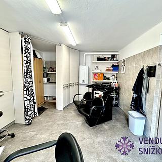 Prodej obchodu 60 m&sup2; Mladá Boleslav